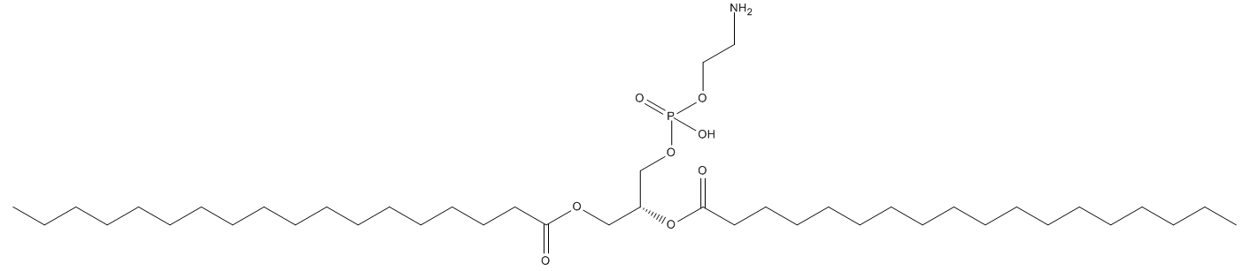 1,2二硬脂酸-3-磷脂酰乙醇胺(DSPE)